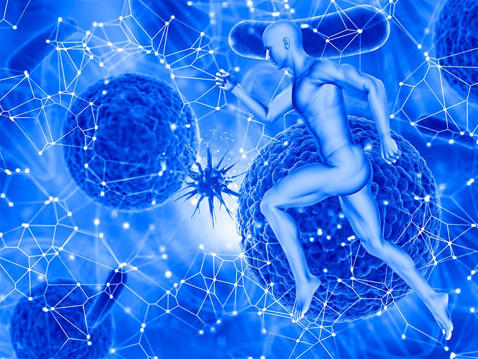 Sistema inmunológico y microbiota